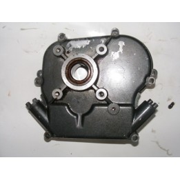 Carter N1  Briggs et stratton Occasion