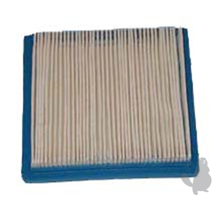 Filtre à air pour Briggs et Stratton 3.5cv quantum