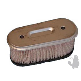 Filtre à air pour Briggs et Stratton 12.5-14cv