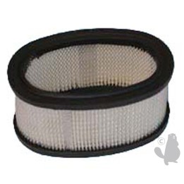 Filtre à air pour Briggs et Stratton 11cv