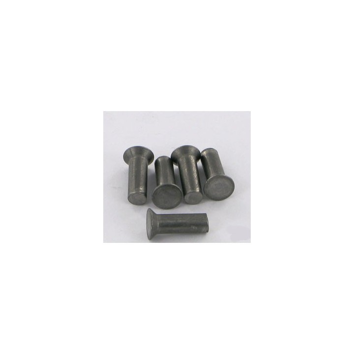 Paquet de 50 rivets 5,25x16