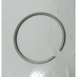 Segment 530029805