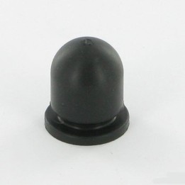 Poire kawasaki 4904302065