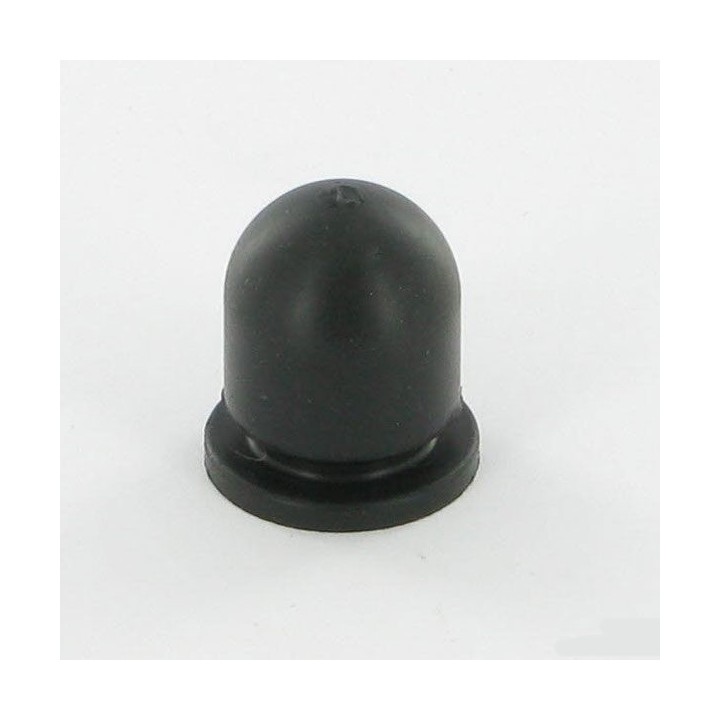 Poire kawasaki 4904302065