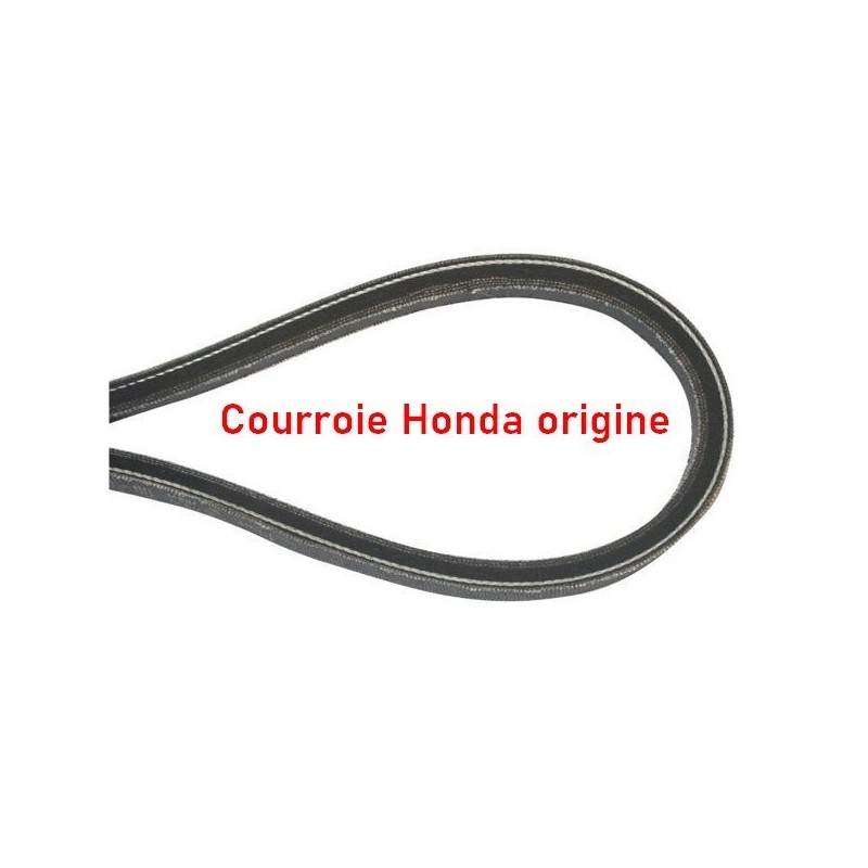 Courroie HONDA 22431-VE0-L02