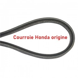 Courroie HONDA 22431-VE0-L02