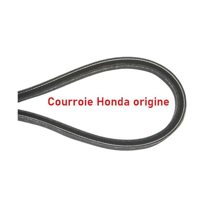 Courroie HONDA 22431-VE0-L02