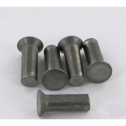 Paquet de 50 rivets 5,25x16