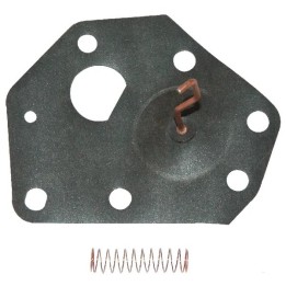 Membrane BRIGGS & STRATTON modèles 3ch déstockage