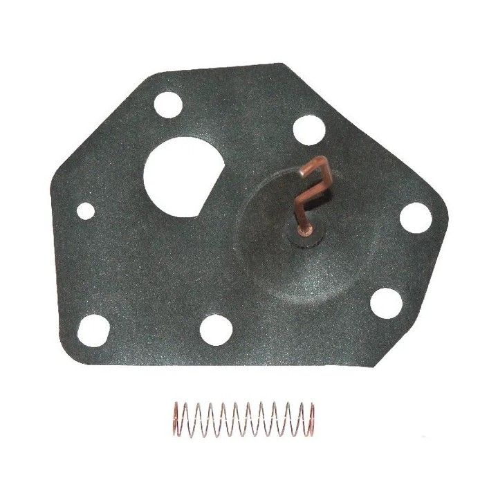 Membrane BRIGGS & STRATTON modèles 3ch déstockage