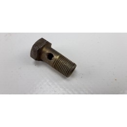 Vis alimentation carburateur lombardini pour banjo M10 L22mm