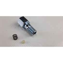Vis moteur lombardini 7101901012 déstockage