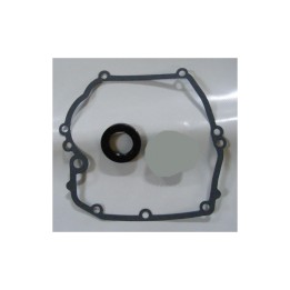 moteur + joint spy + pignon Briggs et stratton