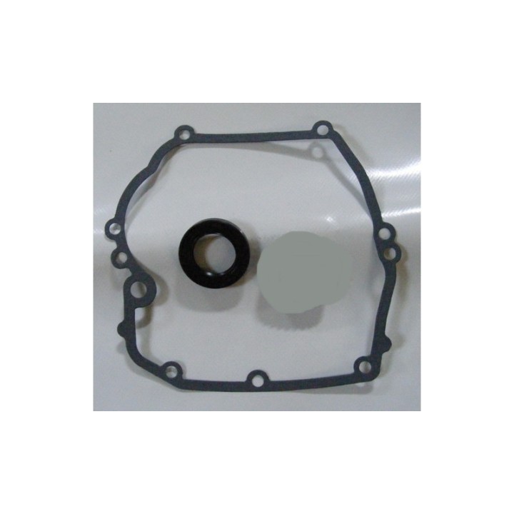 moteur + joint spy + pignon Briggs et stratton