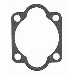 Joint cylindre gutbrod motostandard 6102002  T150 / T151