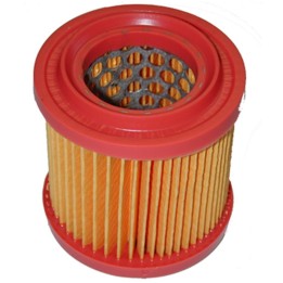 Filtre à air Pour AS Motor