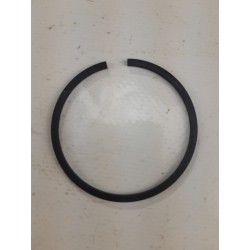 Segment moteur BERNARD D...