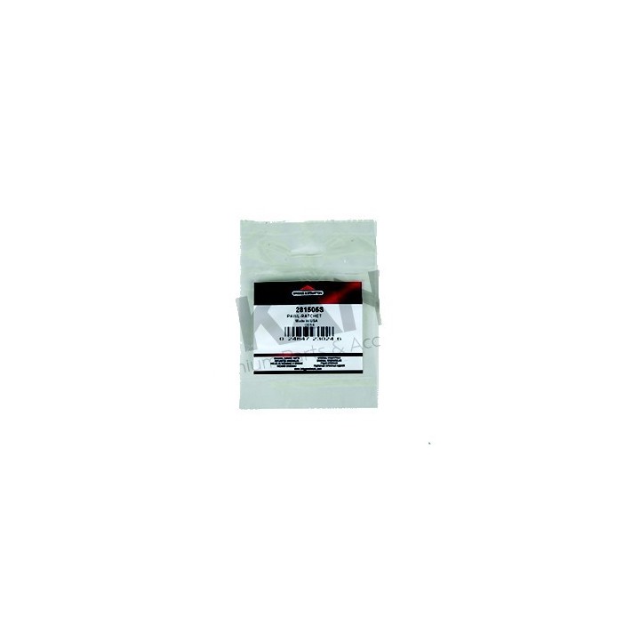 Cliquet de lanceur Briggs et Stratton 281505s-déstockage
