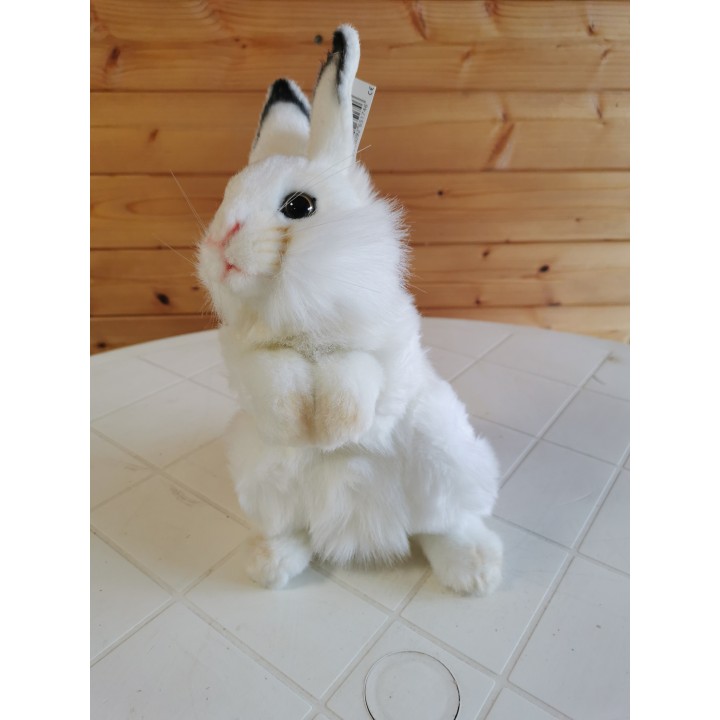 Peluche Lapin blanc 32 cm dressé ANIMA 3313 super qualité prix déstockage