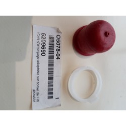 Poire amorçage Briggs et...