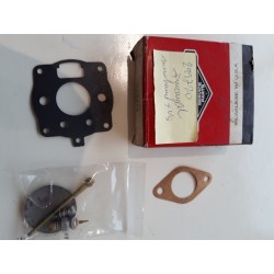 Joint+vis Briggs Stratton...