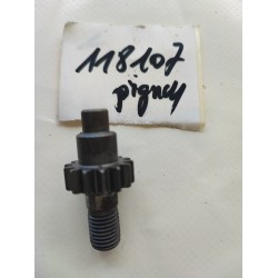 Pignon taille haie 118107...