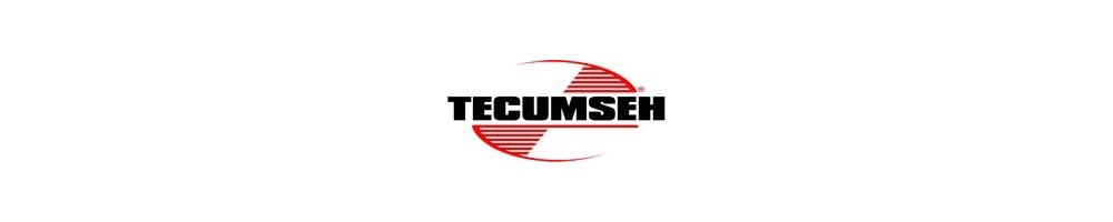 Pièces occasion TECUMSEH 